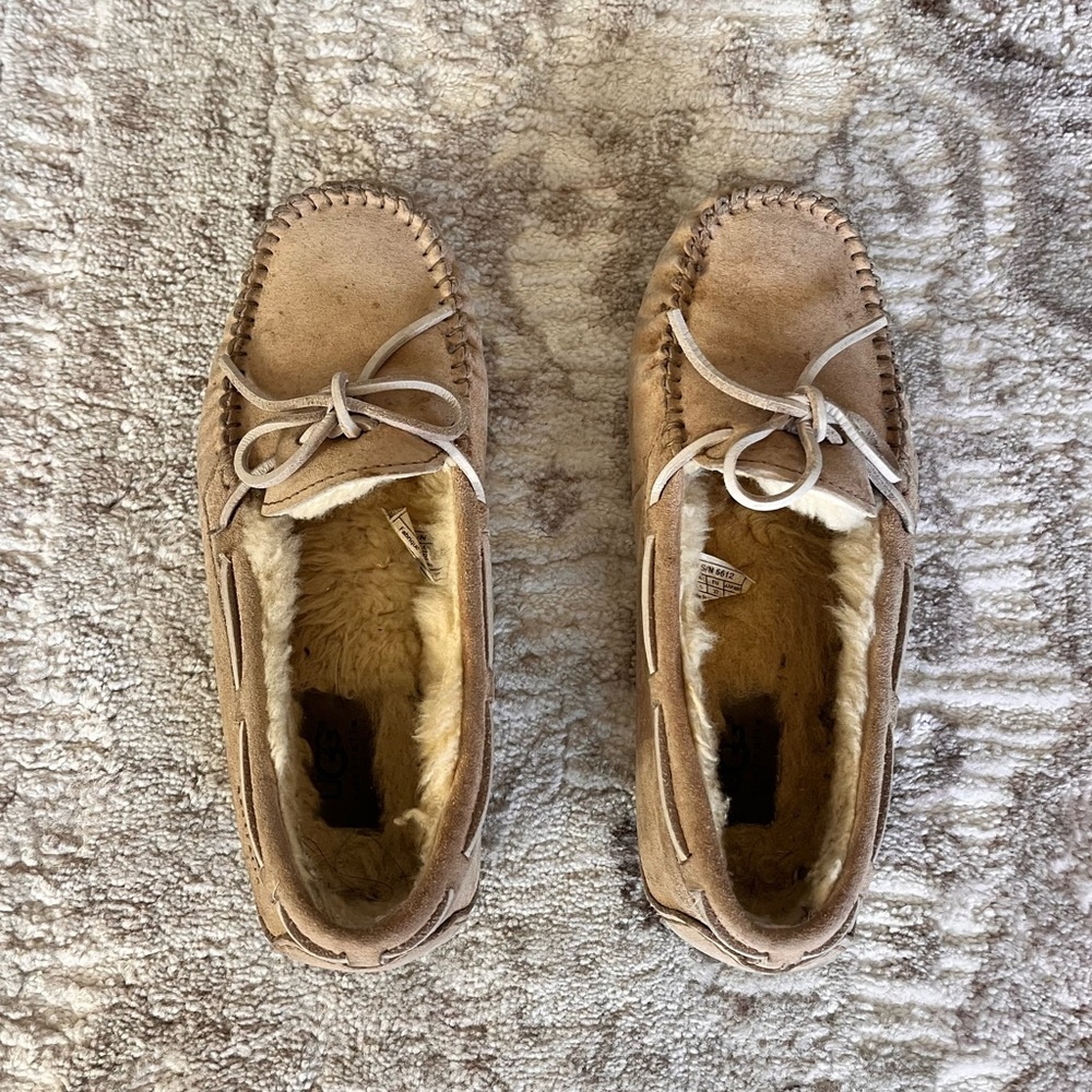 UGG slipper